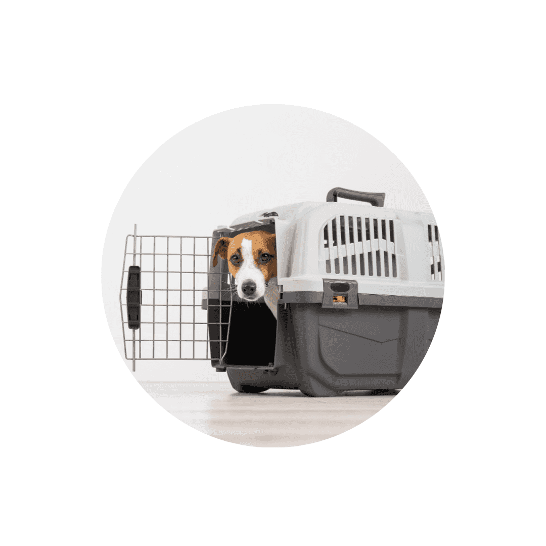 Cages iata pour avion