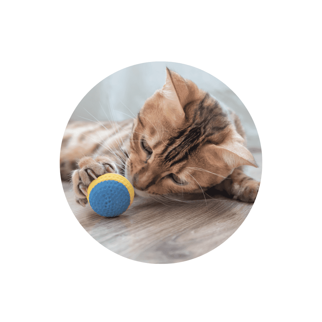 Balles pour chat et petits jouets