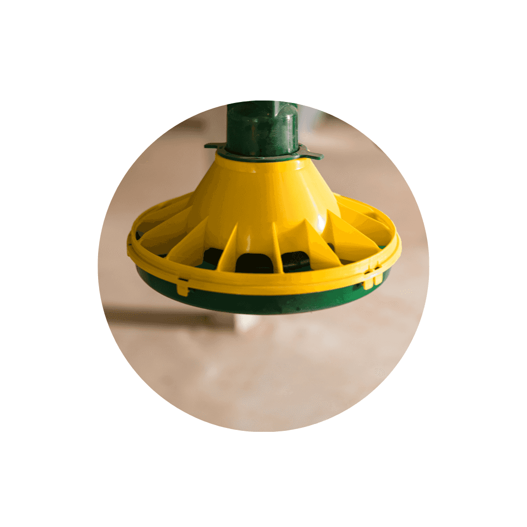 Abreuvoirs pour volaille et bétail