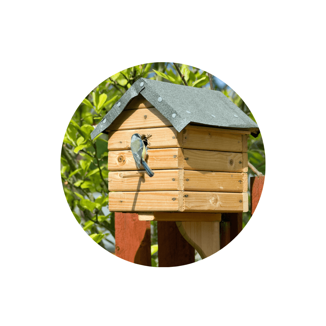 Cabanes et maisons pour oiseaux