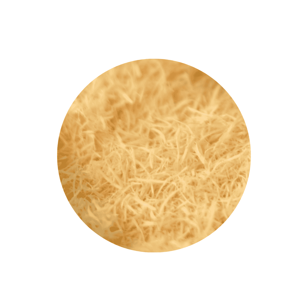 Litières et fonds de cage à oiseaux