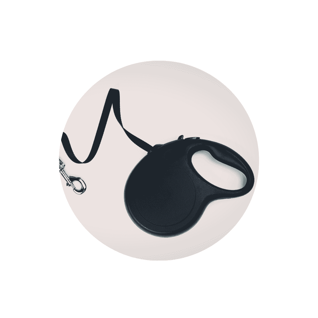 Laisses à enrouleur pour chien