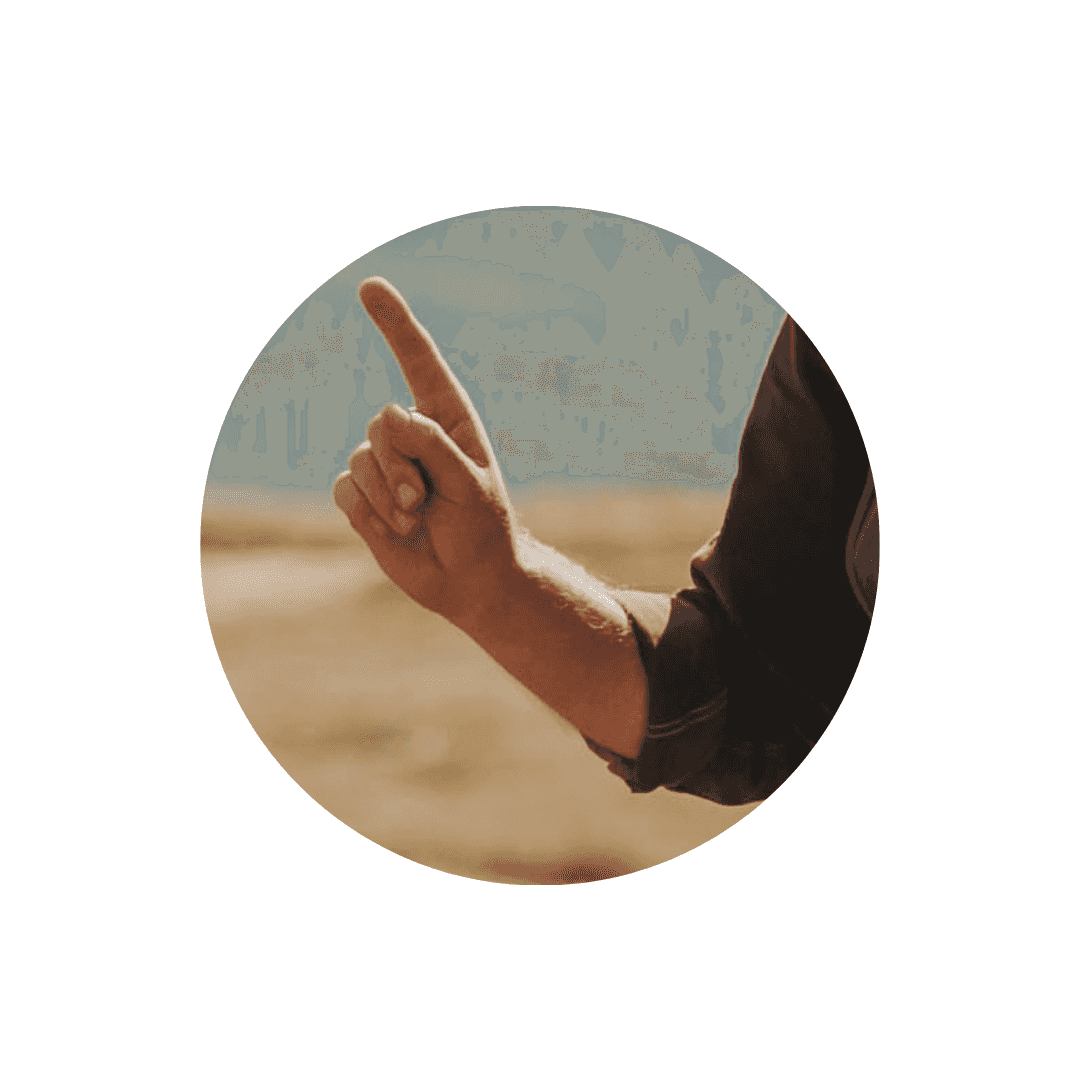 Accessoires de dressage pour chien