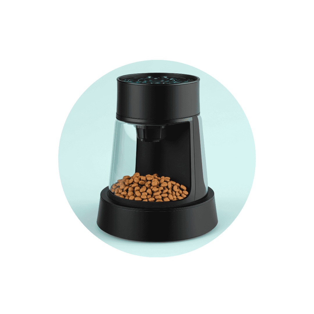 Distributeur de croquettes pour chat