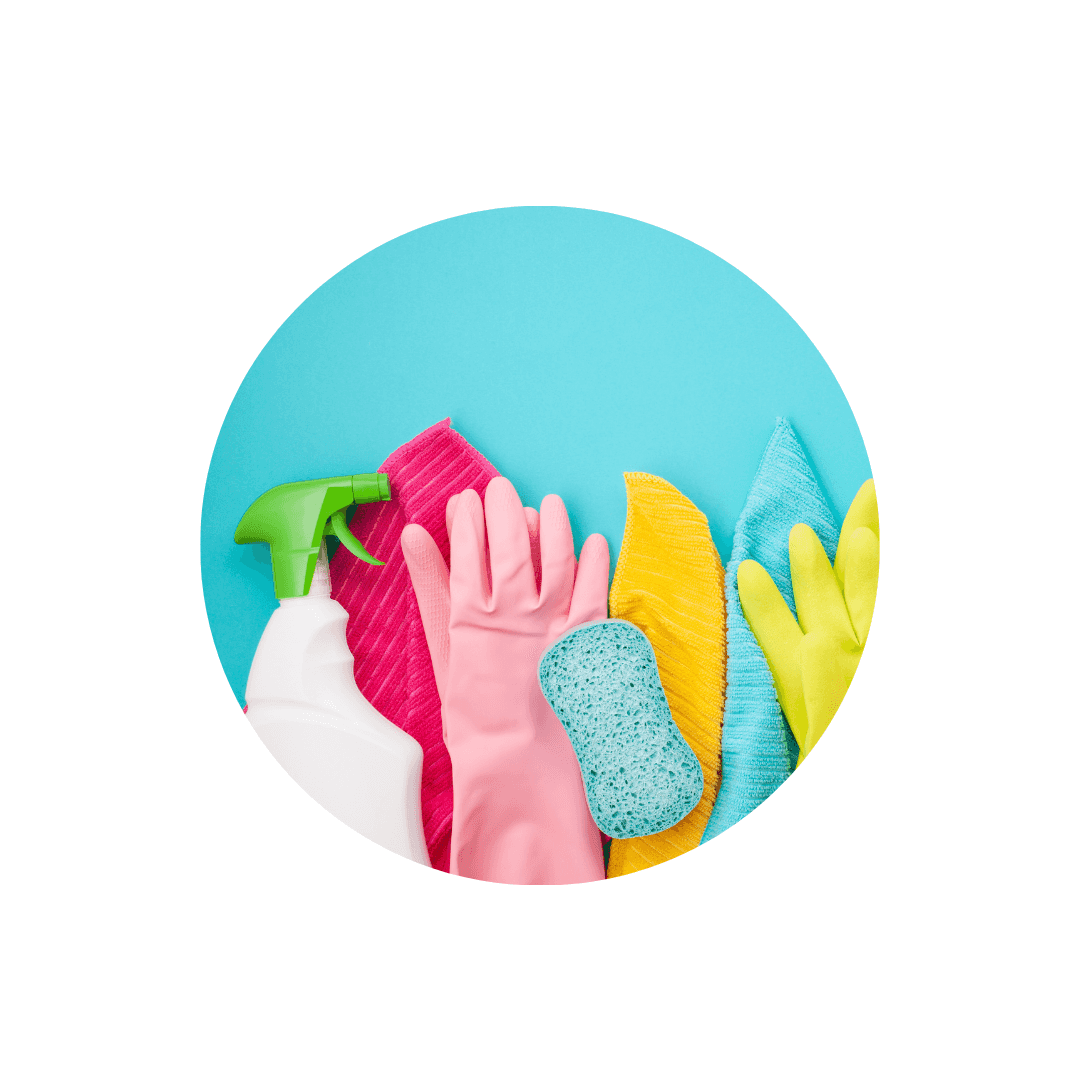 Nettoyage de cage pour cochon d’inde et cobaye