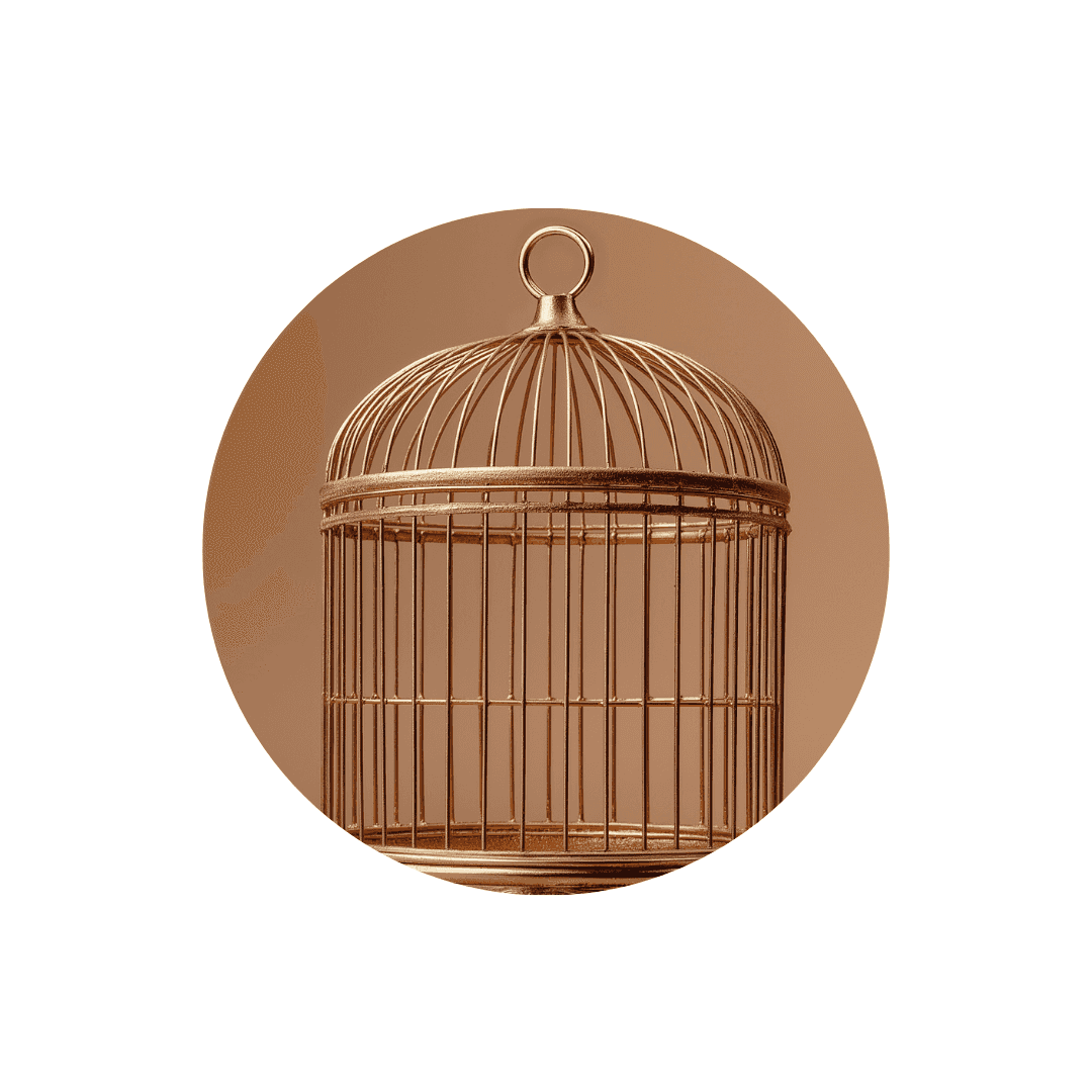 Cages et volières pour oiseaux