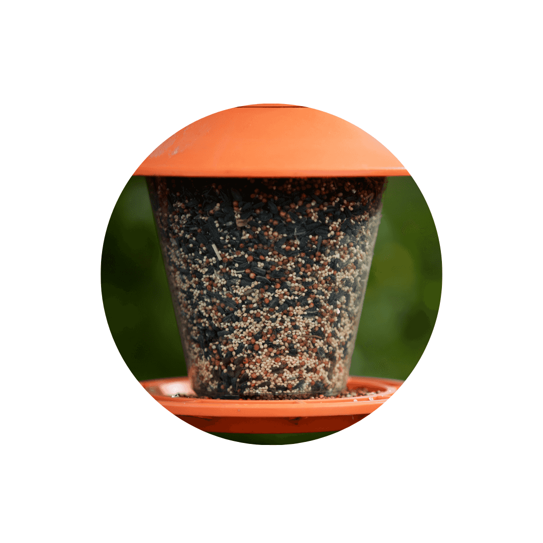 Abreuvoirs et mangeoires pour oiseaux