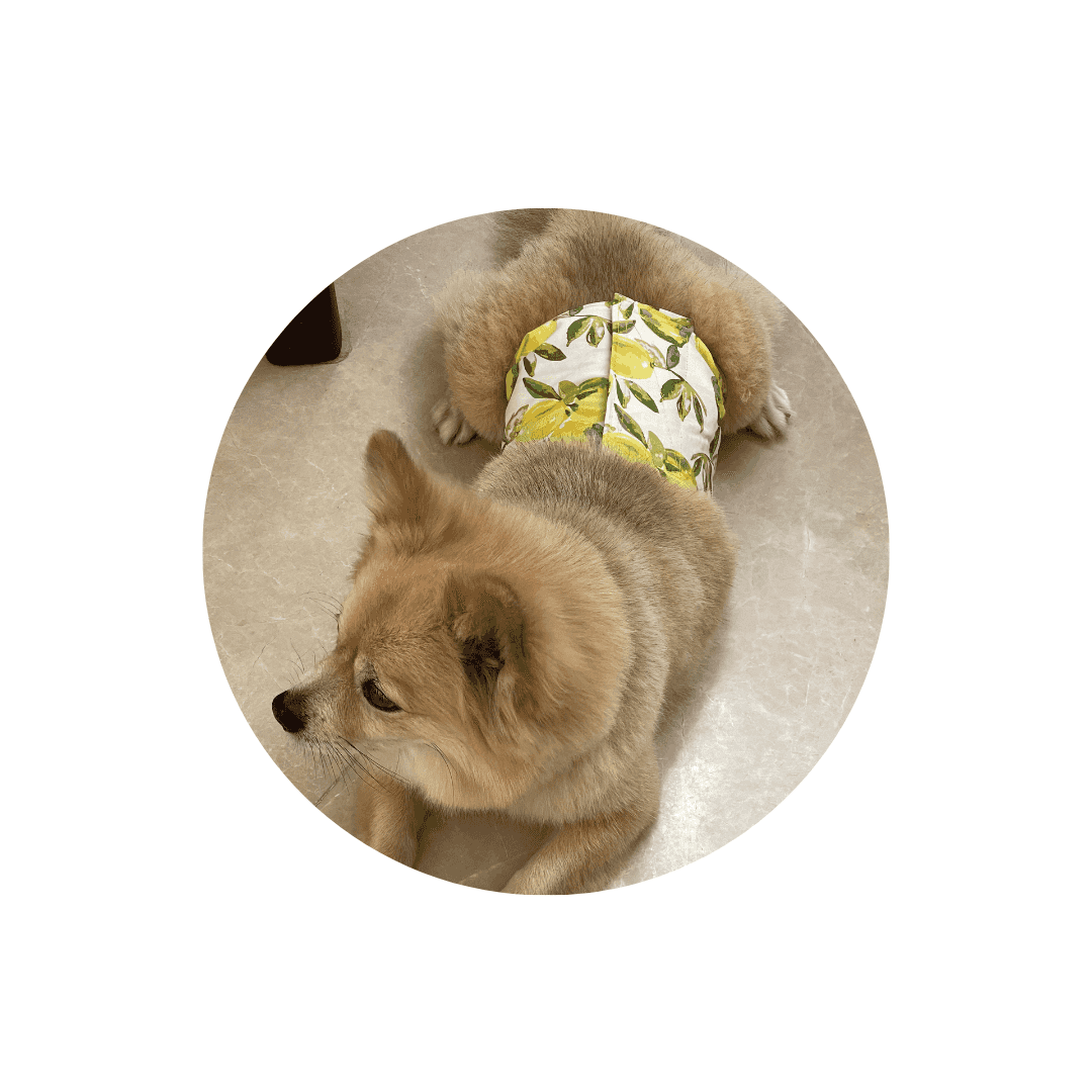 Incontinence et chaleur