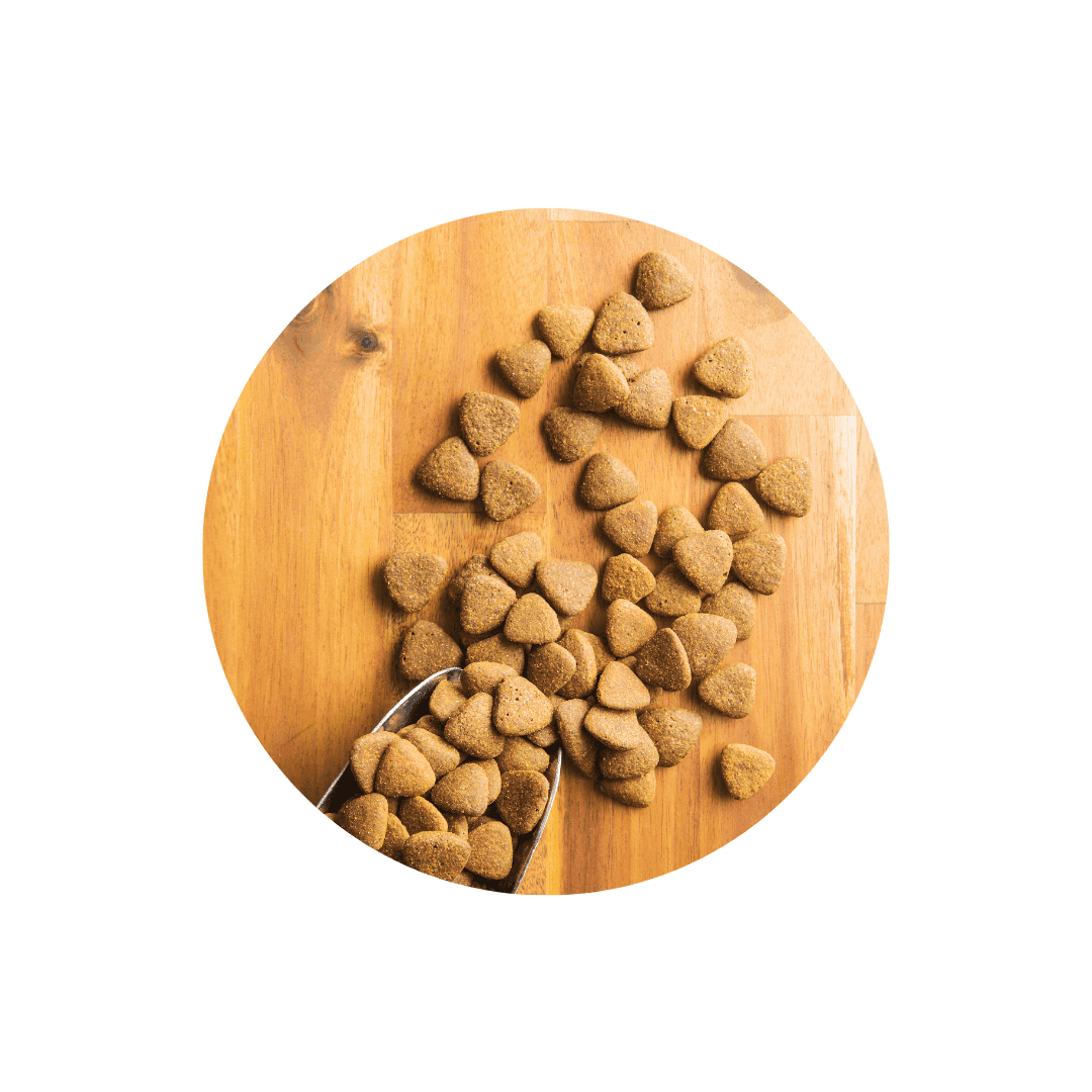 Boites à croquettes et sacs de conservation