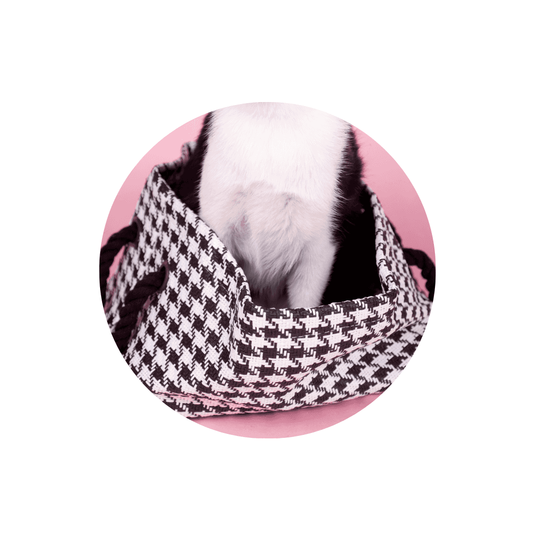 Sacs à main pour chat