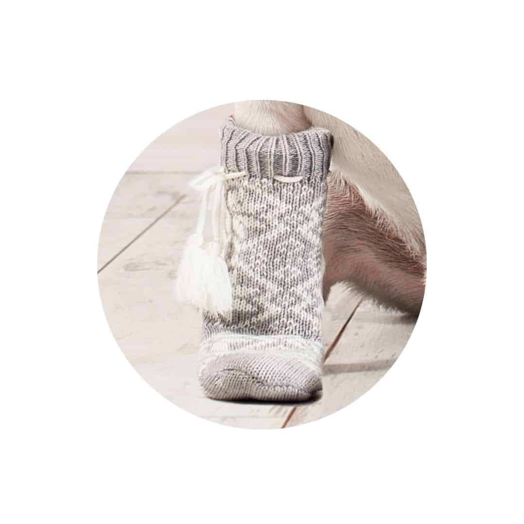 Chaussettes pour chien