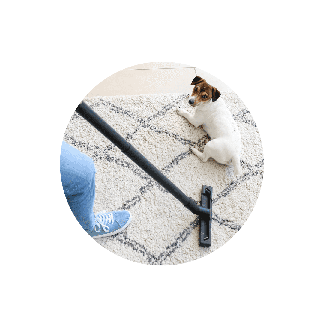 Produits de nettoyage et entretien