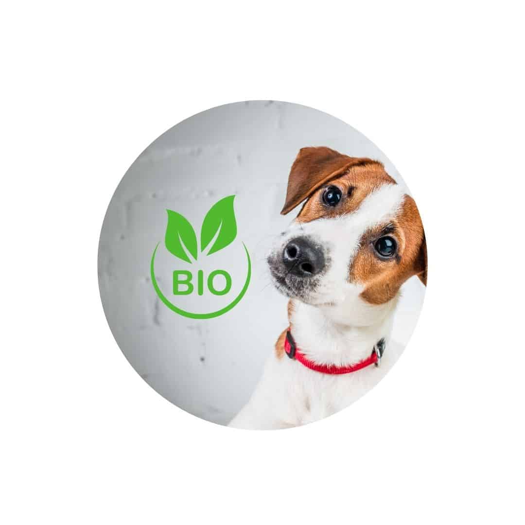 Nourriture bio pour chien