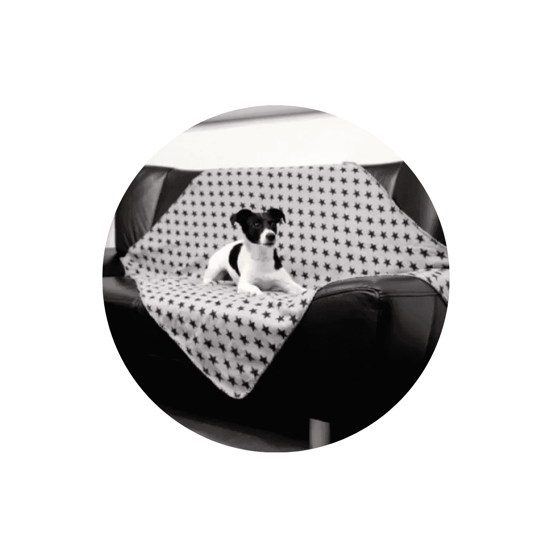 Couvertures pour chien
