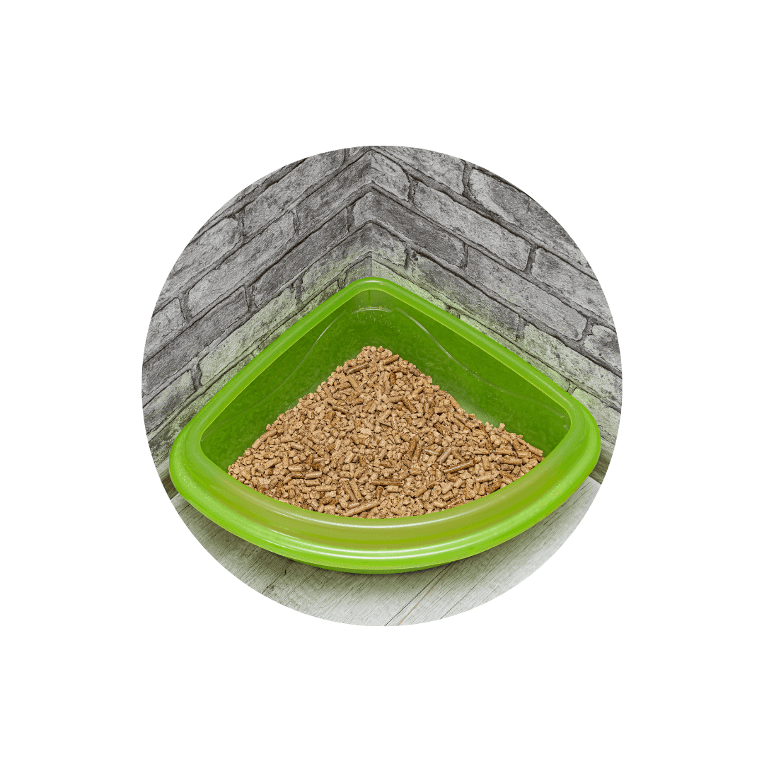 Bac à litière d'angle