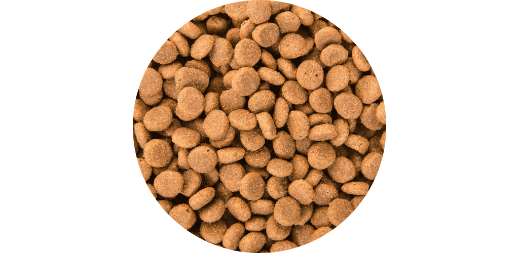 Promos alimentation chien