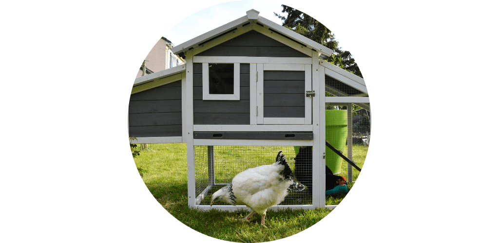 Promos accessoire élevage