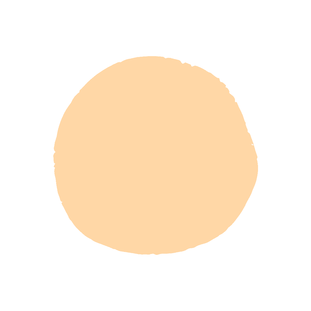 Voyage et transport du chien