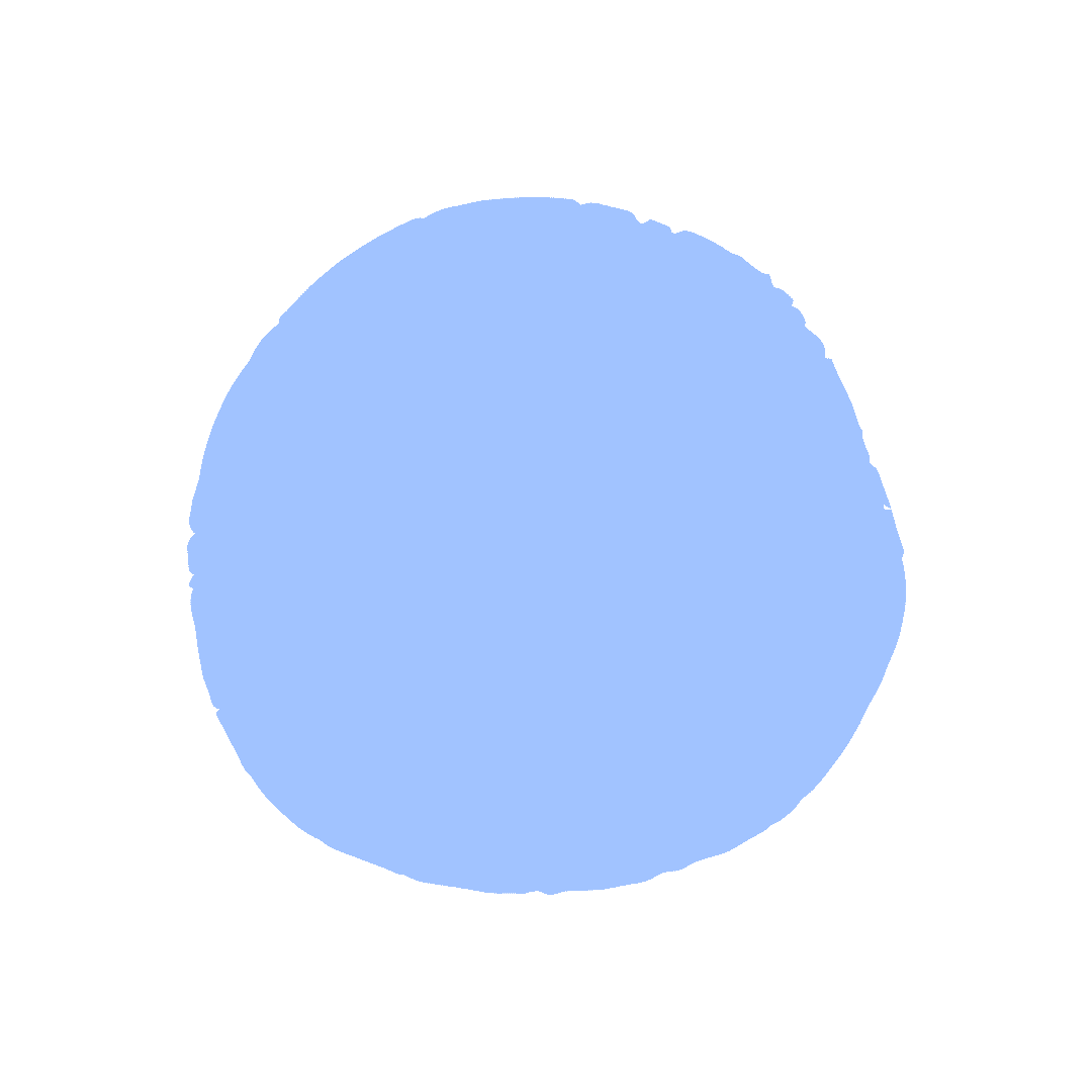 Habitat et couchage pour chat