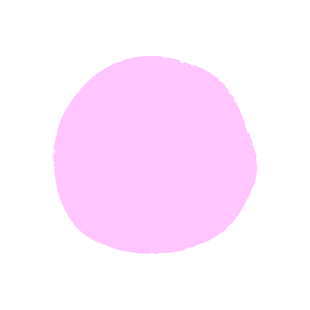 Voyage et transport du chat