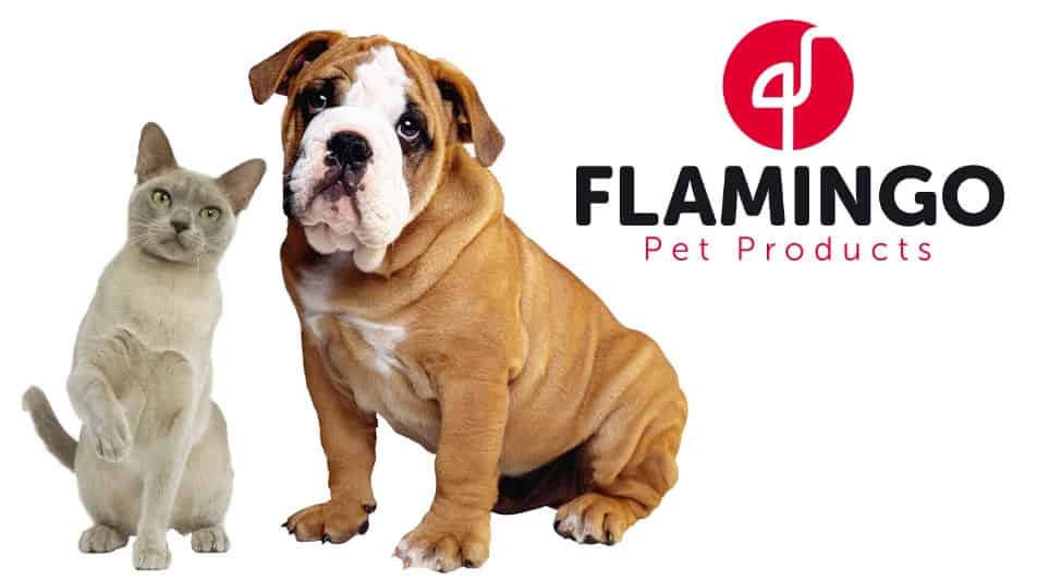 Tout savoir sur Flamingo