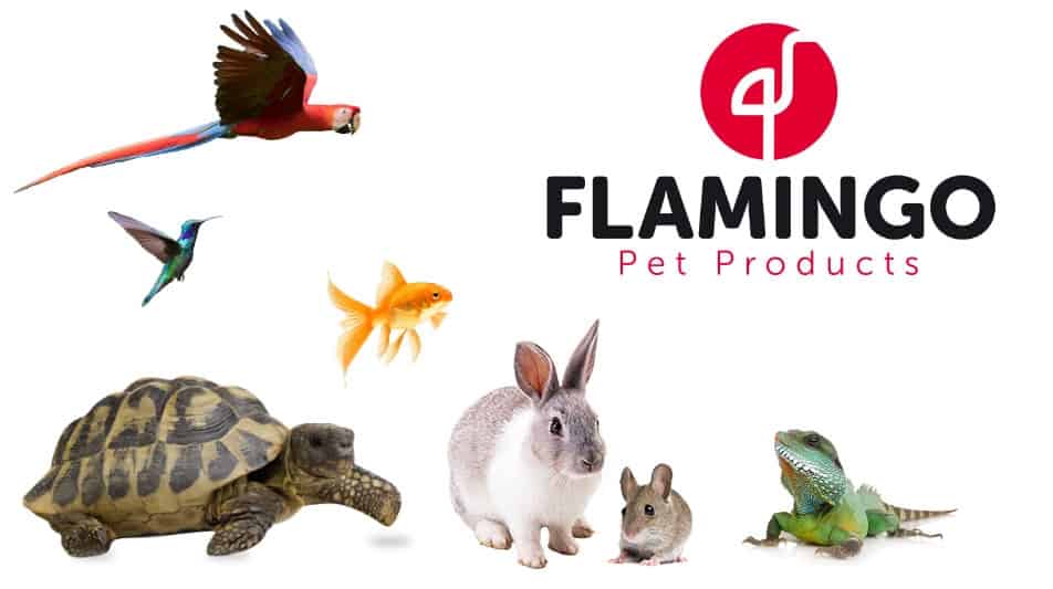 Tout savoir sur Flamingo