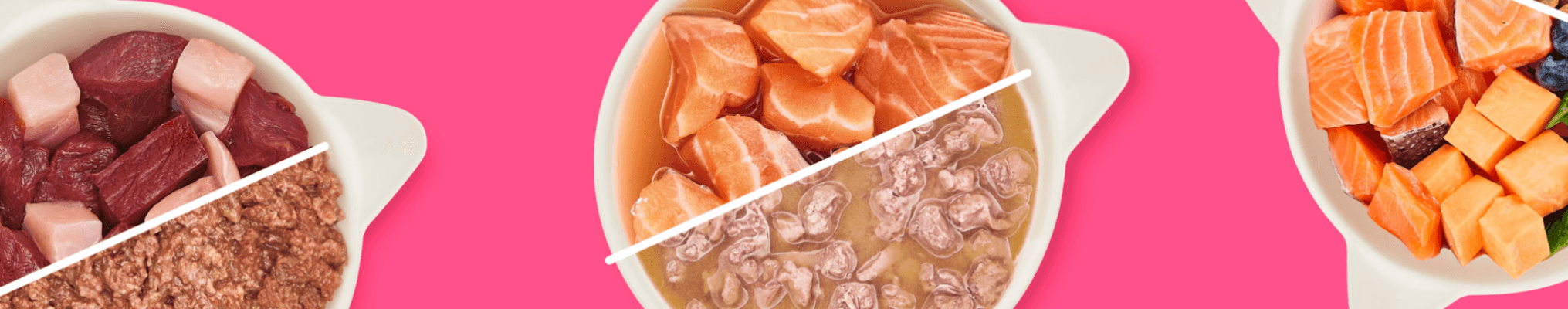 wow chat boeuf saumon poulet