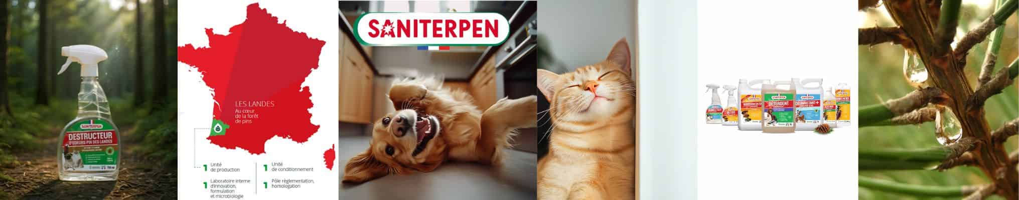 Informations à propos de saniterpen