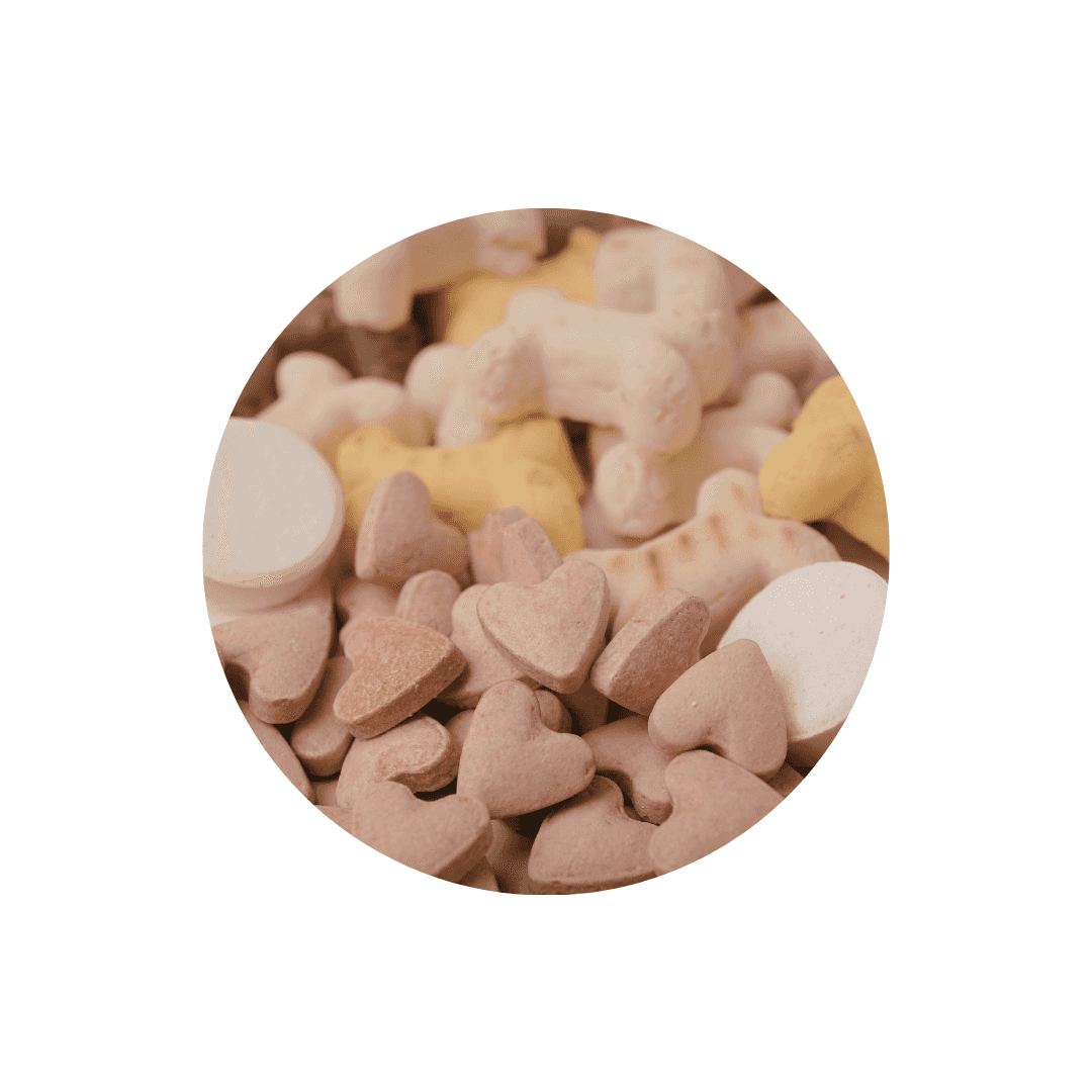 Friandises pour chien