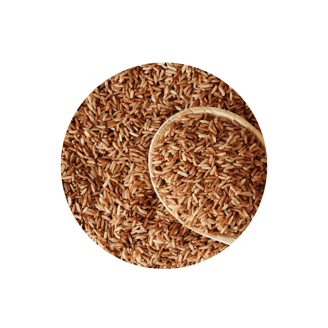 Riz et pâtes pour chien