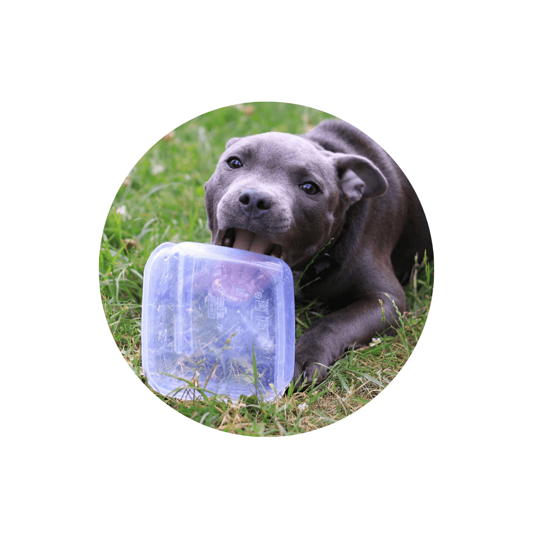 Boites à croquettes et sacs de conservation