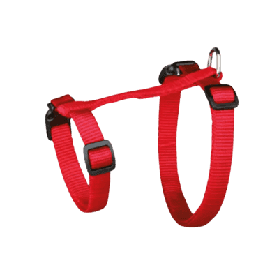 Harnais chat rouge