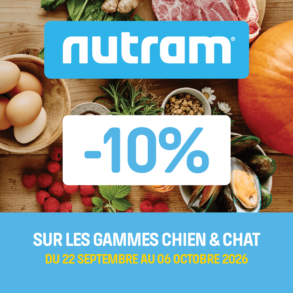 Profitez des offres BRIT !