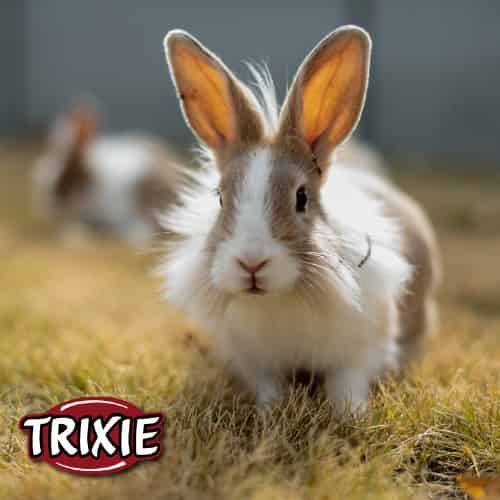 produits pour rongeurs Trixie