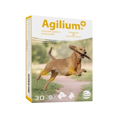 Agilium +