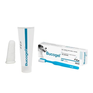 Bucogel Dômes Pharma