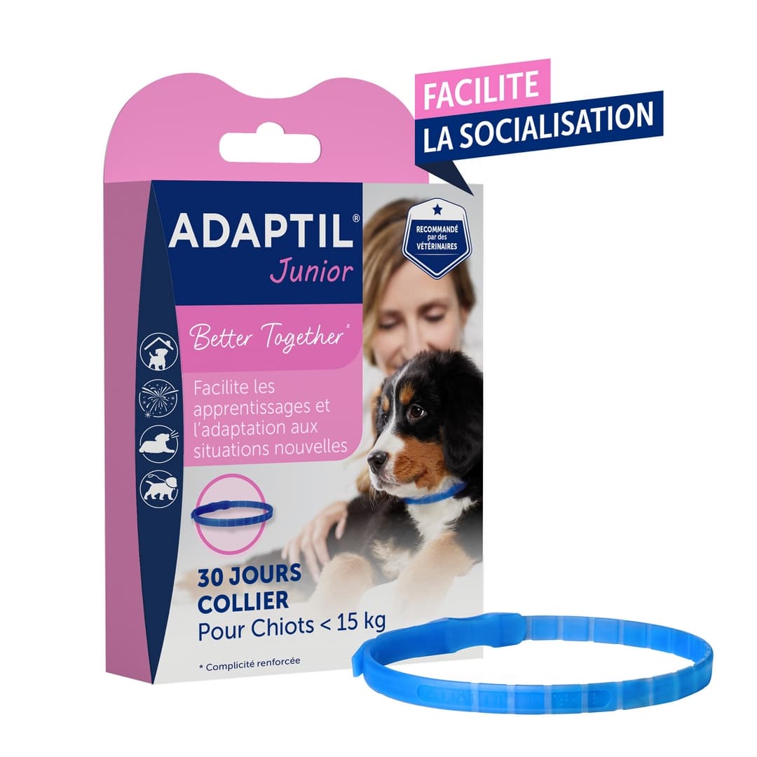 Collier anti-stress pour chiot Adaptil Junior