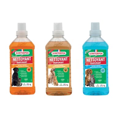 Détergent pour sol et extérieur Saniterpen Bidon 1 litre
