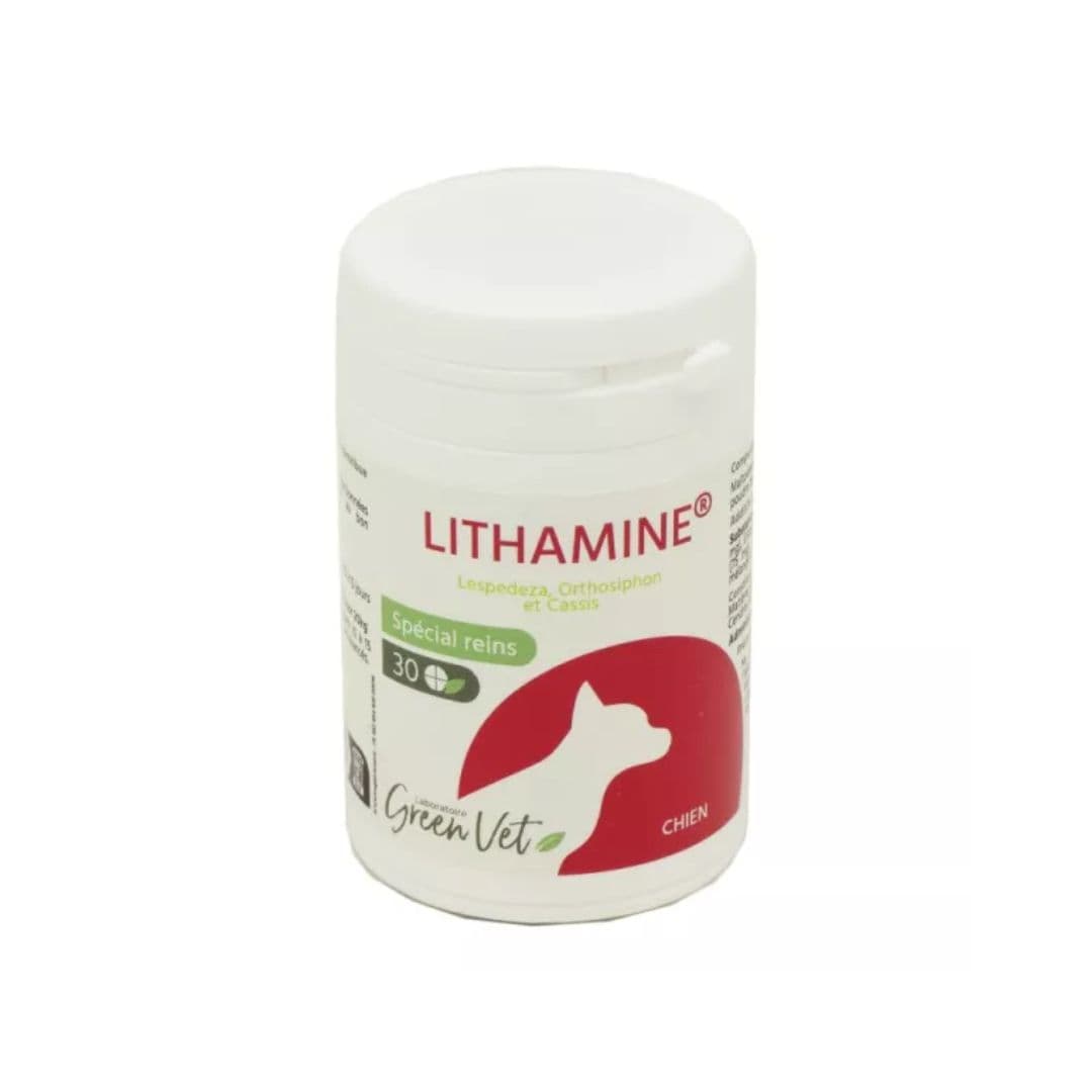 Greenvet Lithamine pour chien