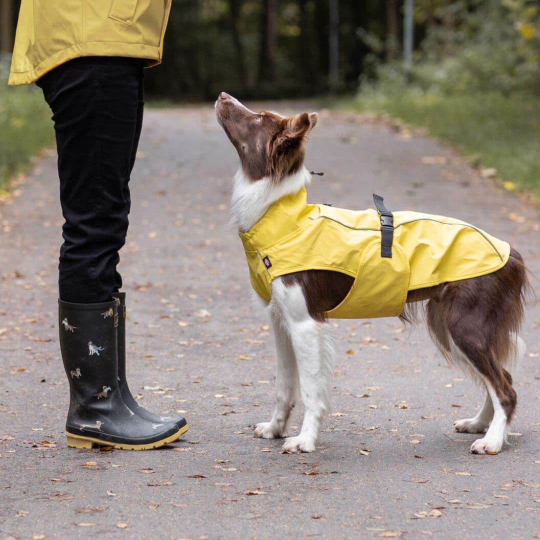 Imperméable Vimy - Jaune