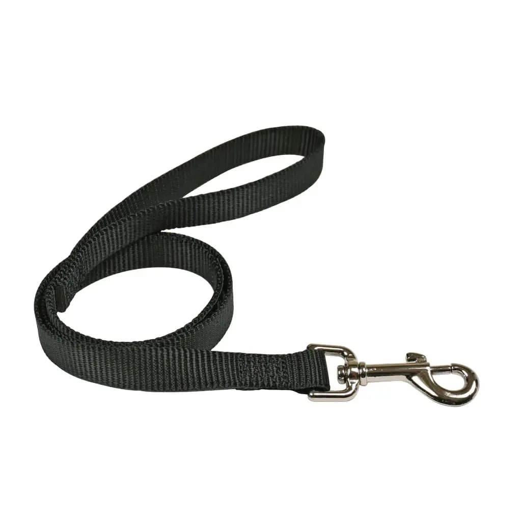 Laisse en nylon unie pour chien