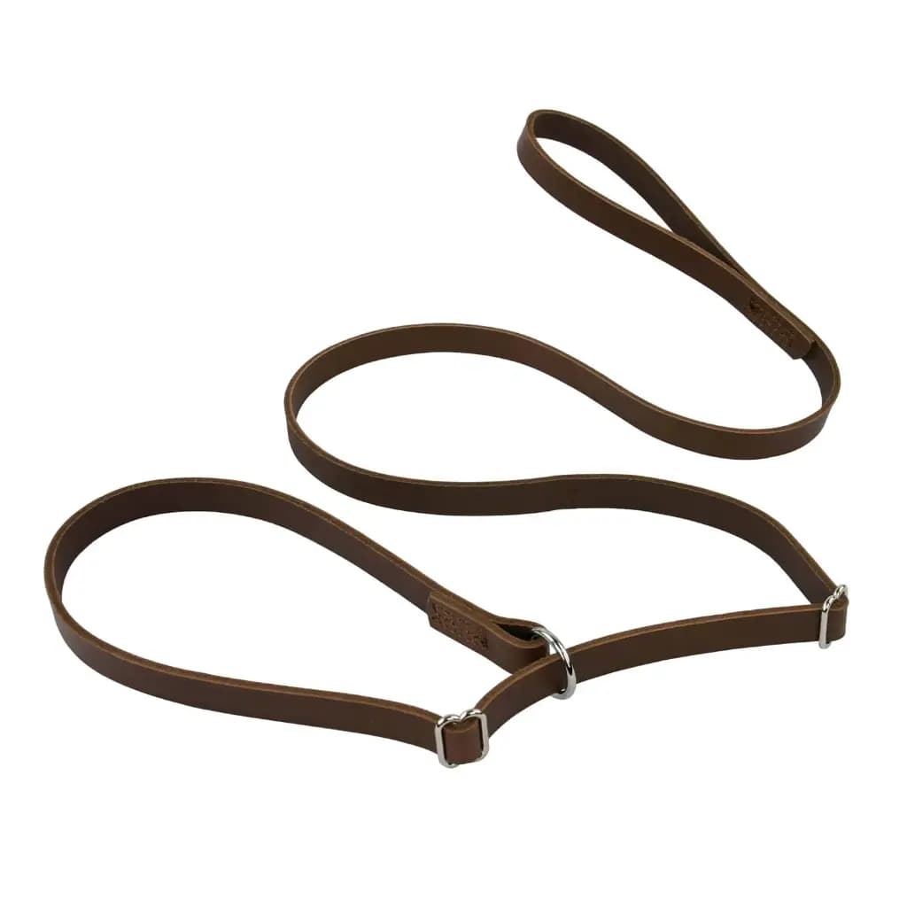 Laisse lasso en cuir 1,5 m pour chien