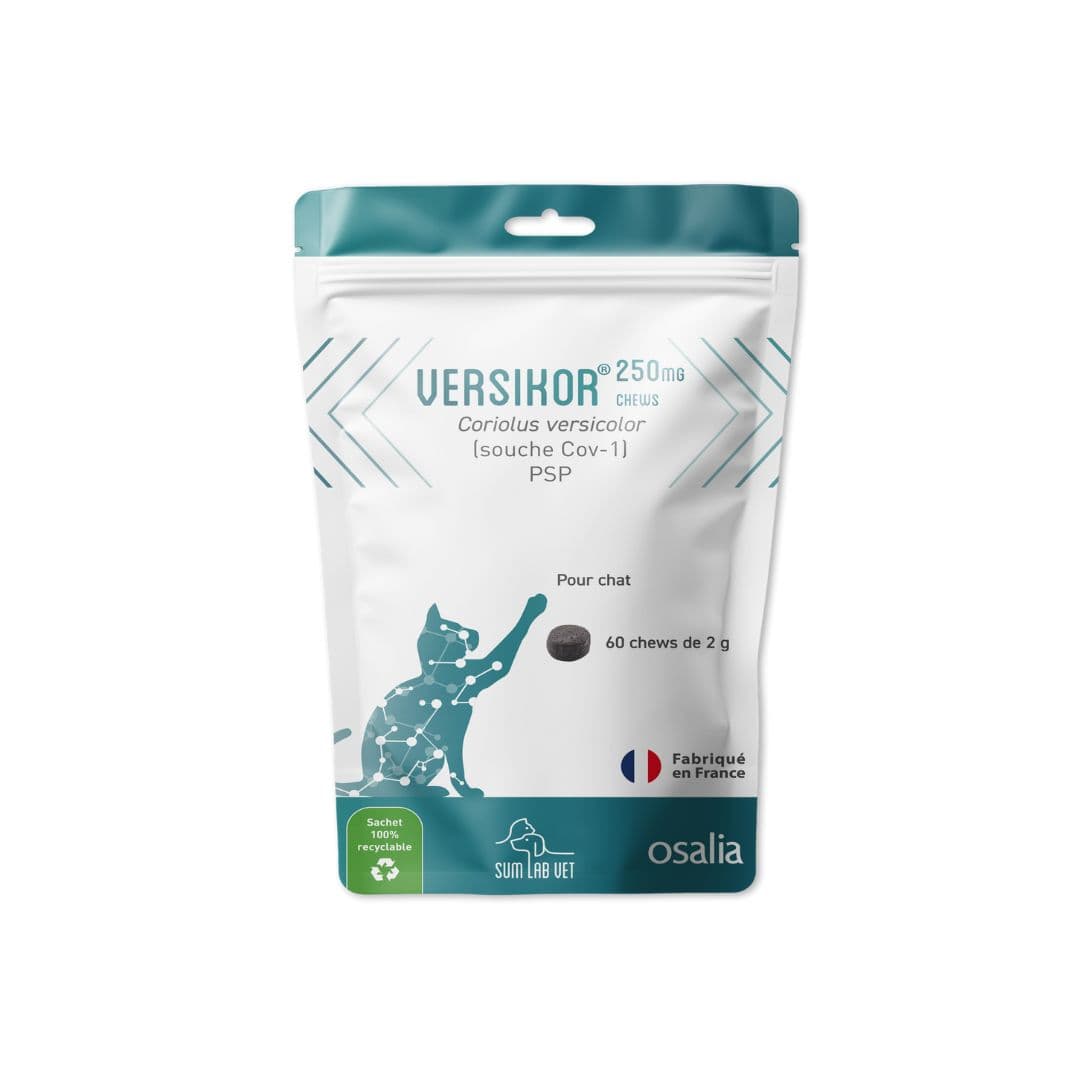 Versikor 250 Chews pour chat