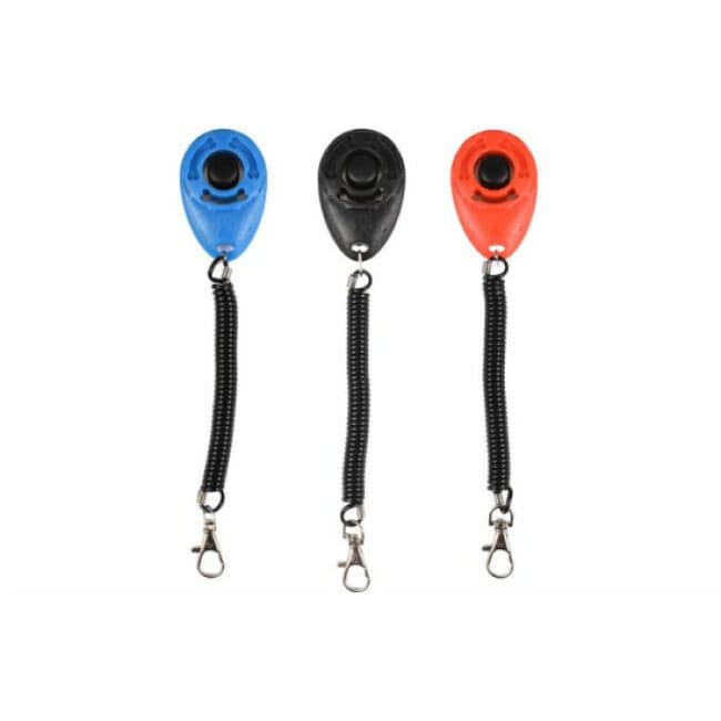 Clicker chien avec système d'attache extensible