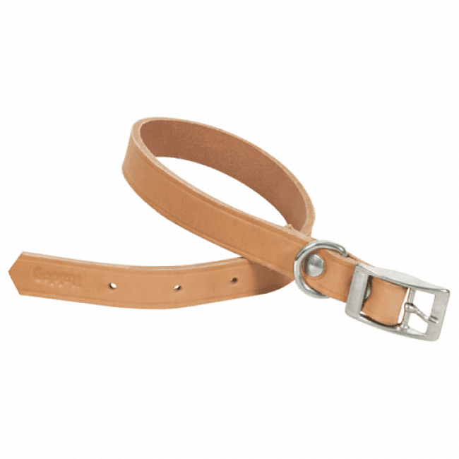 Collier en cuir naturel pour chien Chapuis Sellerie
