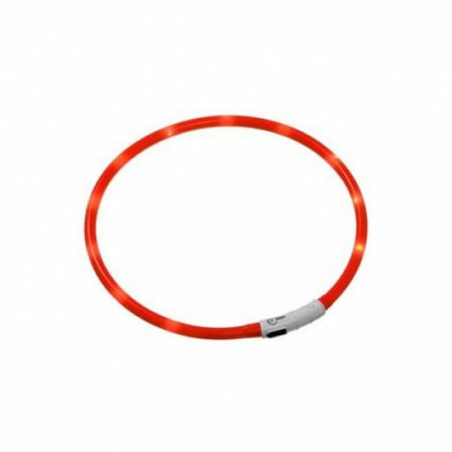 Collier lumineux Visio Light à LED pour chien