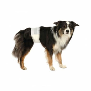 Couches pour chiens mâles