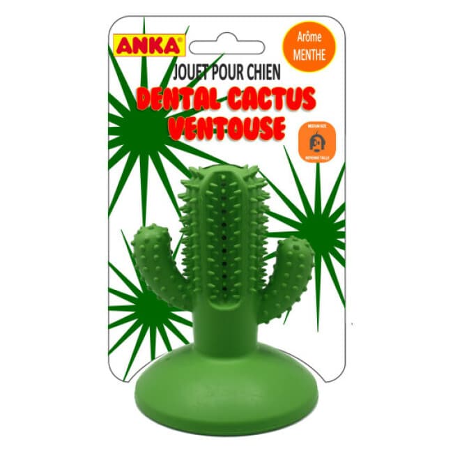 Jouet Dental Cactus à ventouse