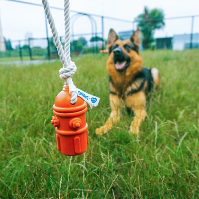 Jouet en caoutchouc et Corde Schtroumpfs pour chien