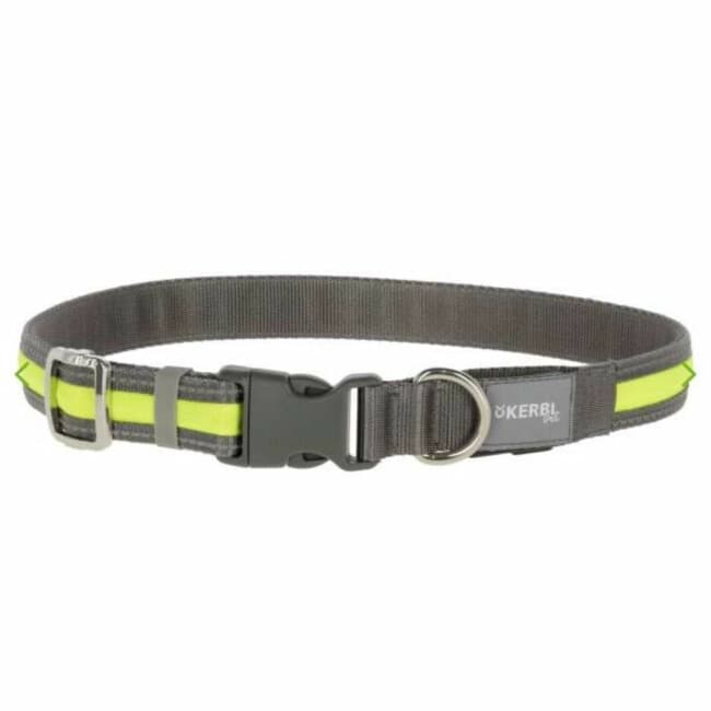 Kerbl - Collier lumineux LED rechargeable - 5h d'autonomie